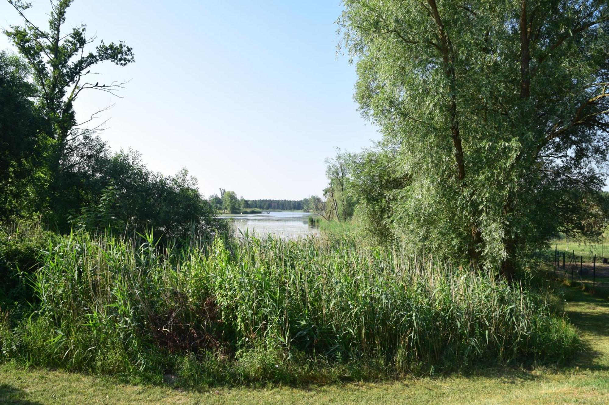 Land-Gut-Hotel Seeblick Klietz Exterior foto